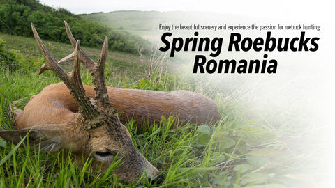 Spring Roebucks Romania